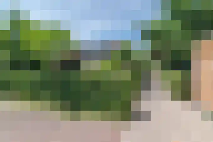 Rozenwater 15 Zoetermeer thumbnail 37