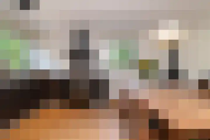 Rozenwater 15 Zoetermeer thumbnail 7