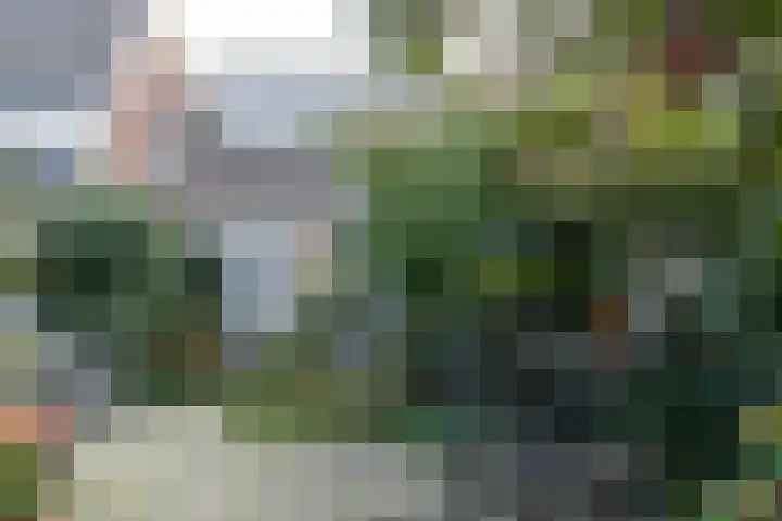 Rozenweg 39 Lochem thumbnail 18