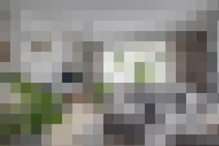Rozenweg 39 Lochem thumbnail 4