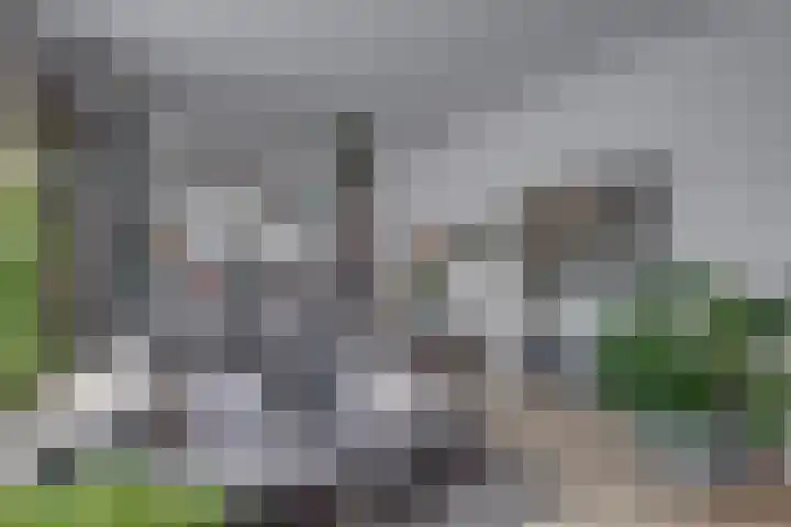Rozenweg 39 Lochem thumbnail 7