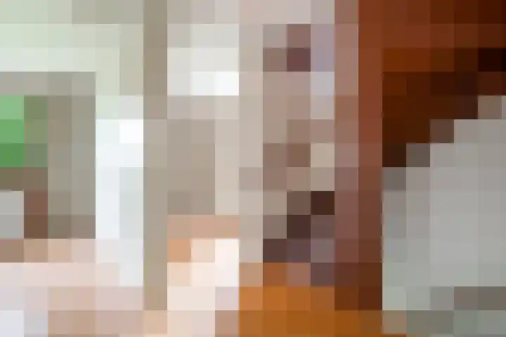 Rozenwerf 176 Almere thumbnail 20