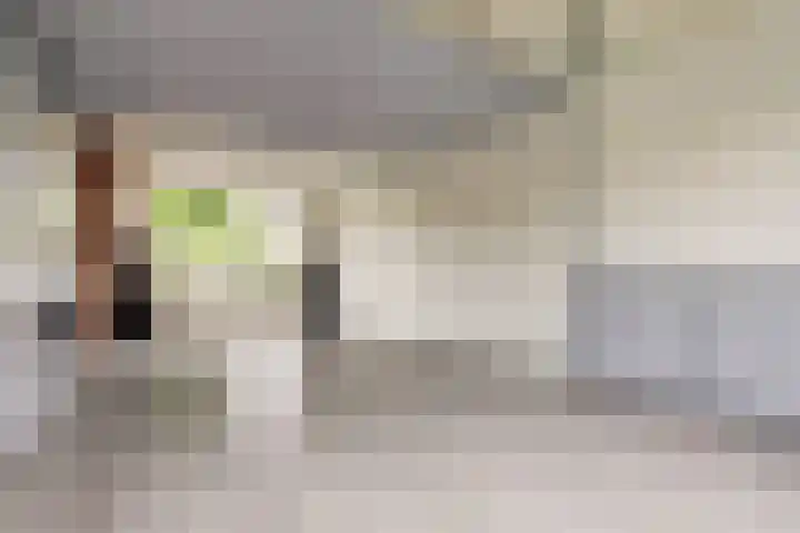 Rozenwerf 176 Almere thumbnail 41