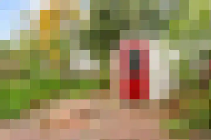 Rozenwerf 176 Almere thumbnail 43