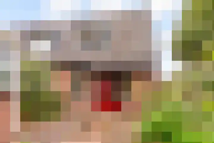 Rozenwerf 176 Almere thumbnail 44