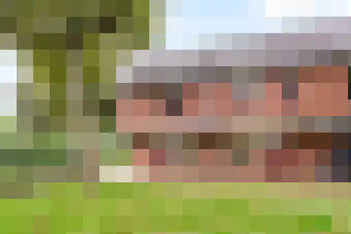 Rozenwerf 176 Almere thumbnail 47