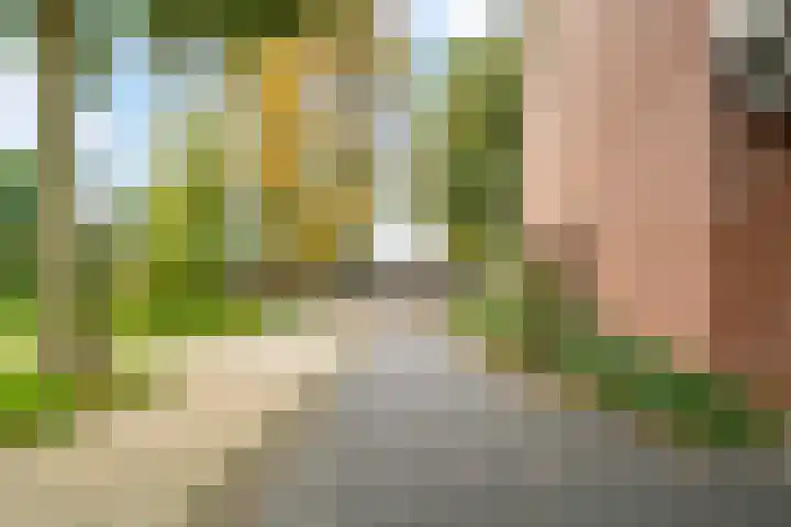 Rozenwerf 176 Almere thumbnail 48