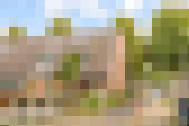 Rozenwerf 176 Almere thumbnail 49