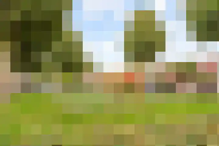 Rozenwerf 176 Almere thumbnail 51