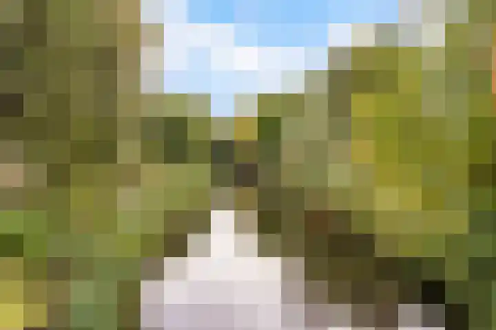 Rozenwerf 176 Almere thumbnail 52