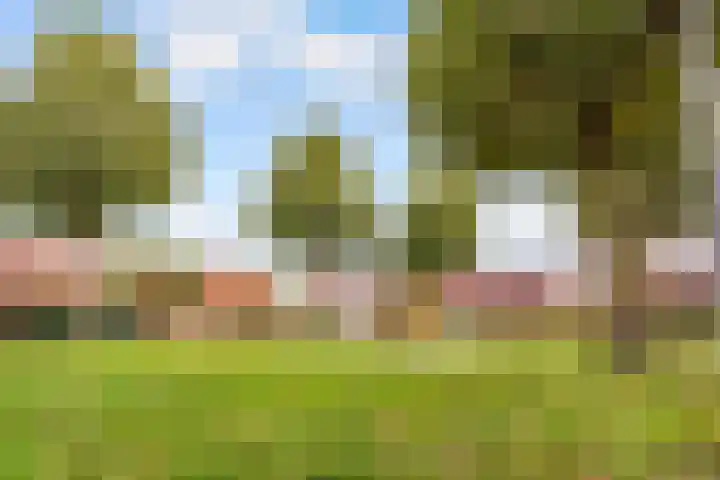 Rozenwerf 176 Almere thumbnail 53