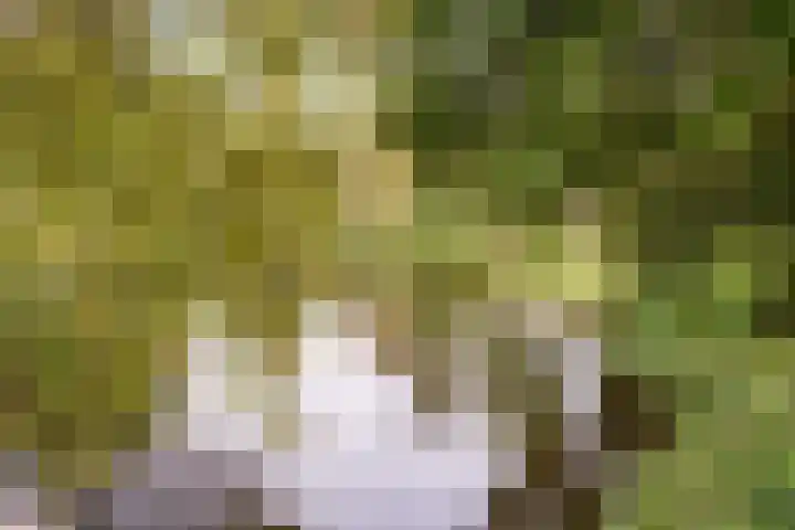 Rozenwerf 176 Almere thumbnail 54