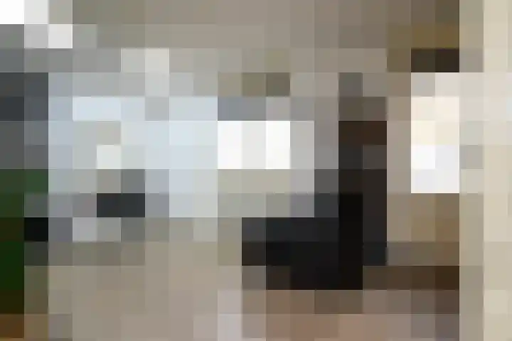 Rozenwerf 178 Almere thumbnail 13