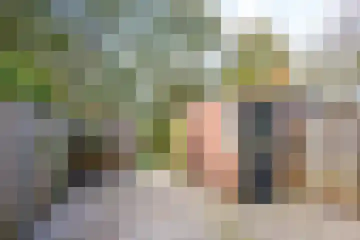 Rozenwerf 178 Almere thumbnail 21