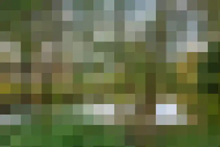 Rozenwerf 178 Almere thumbnail 24