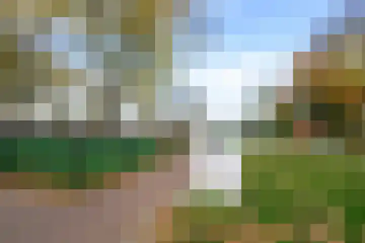 Rozenwerf 178 Almere thumbnail 26