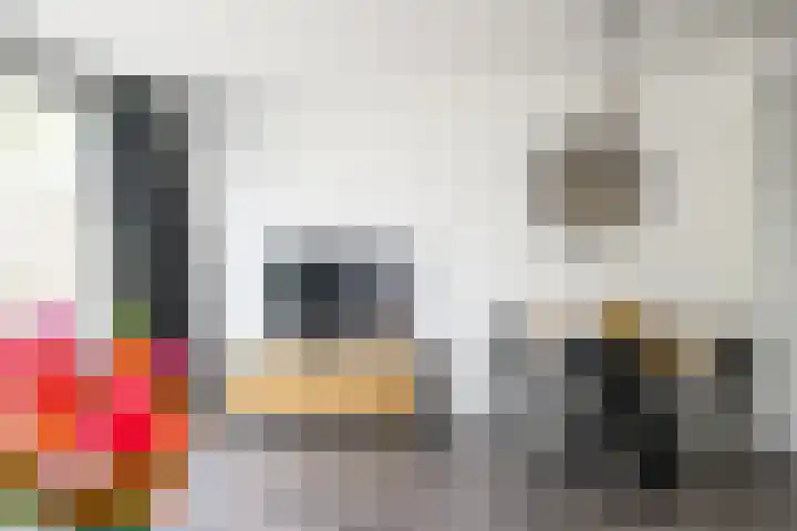 Rozenwerf 178 Almere thumbnail 8