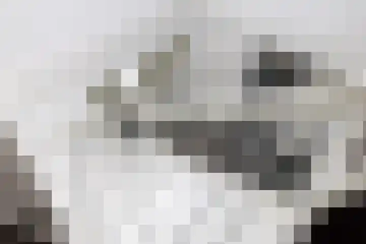Rubenslaan 18 Lopik thumbnail 54