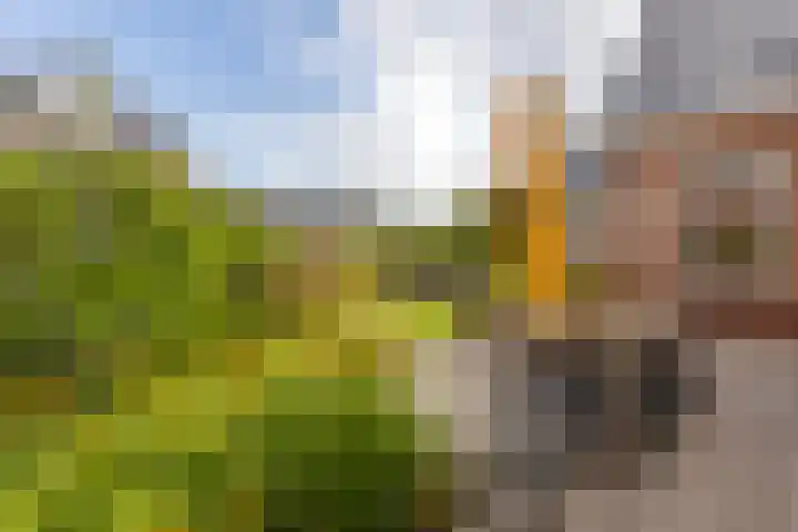 Rubenslaan 18 Lopik thumbnail 55