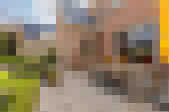 Rubenslaan 18 Lopik thumbnail 56