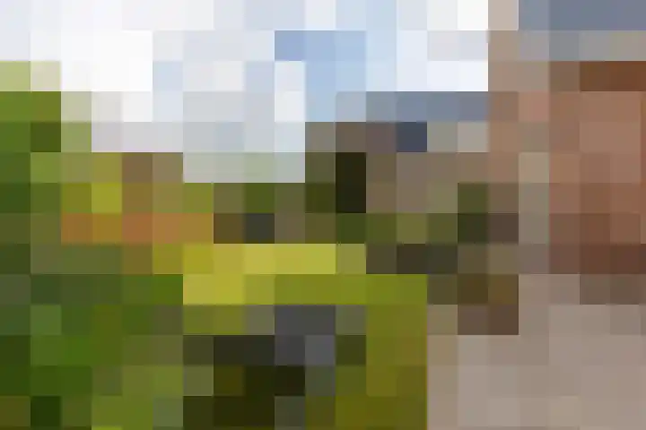 Rubenslaan 18 Lopik thumbnail 58
