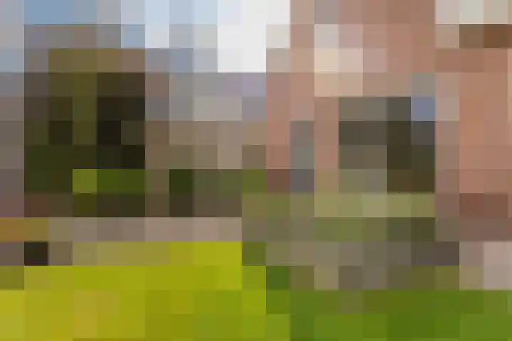 Rubenslaan 18 Lopik thumbnail 59