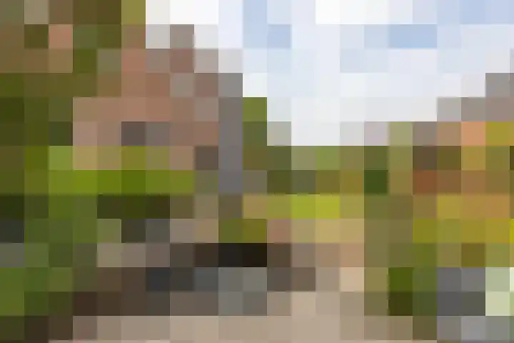 Rubenslaan 18 Lopik thumbnail 65