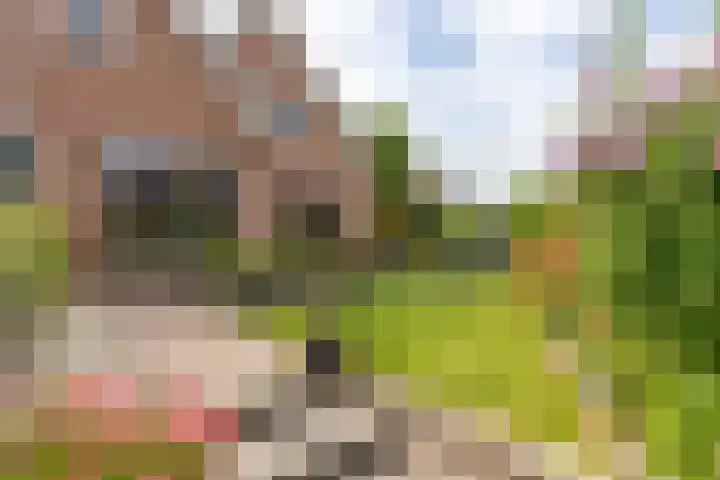 Rubenslaan 18 Lopik thumbnail 66
