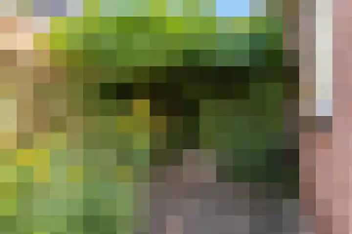 Rubenslaan 18 Lopik thumbnail 74