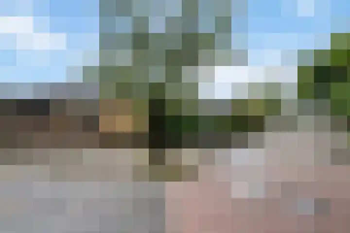 Rubenslaan 27 Woudenberg thumbnail 5