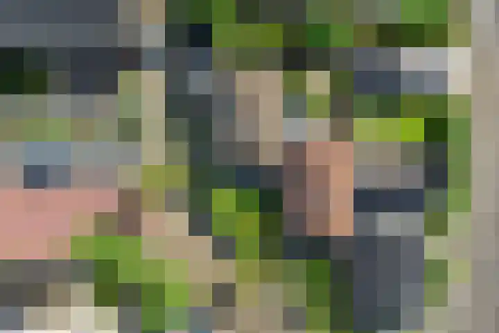 Rubenslaan 27 Woudenberg thumbnail 9