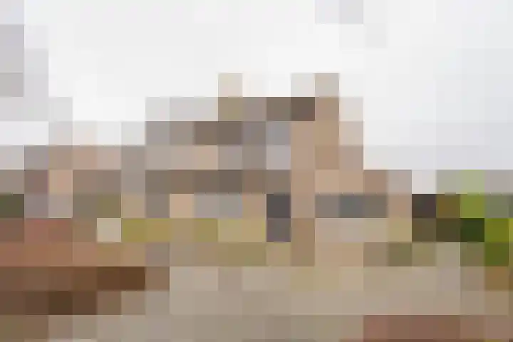 Rubenslaan 7 Nijkerk