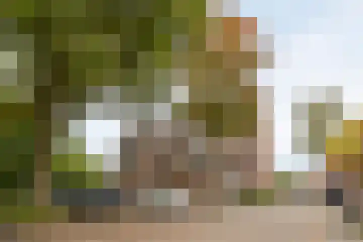 Rubensstraat 2 Groningen thumbnail 41