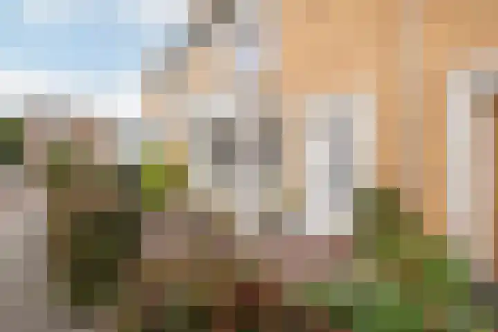 Rubensstraat 42 Woerden thumbnail 4