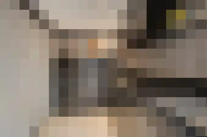 Rubensstraat 49 Duiven thumbnail 47