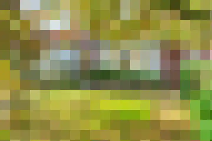 Rubensstraat 97 en Amersfoort