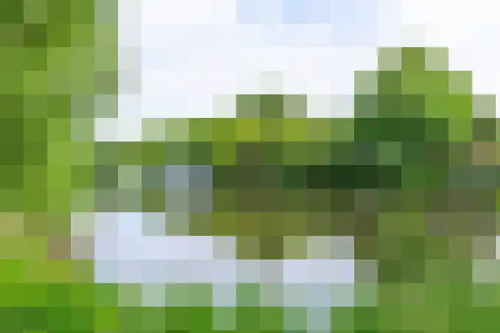 Rubicondreef 100 Utrecht thumbnail 20
