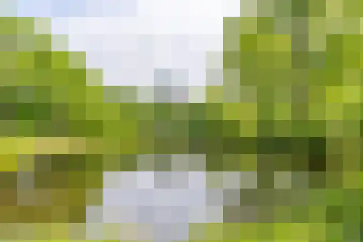 Rubicondreef 100 Utrecht thumbnail 21