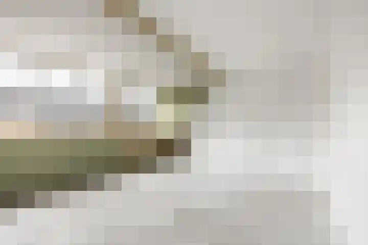 Rubinsteinpad 1 Almere thumbnail 22