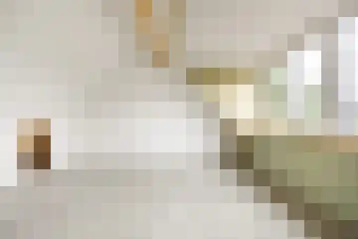 Rubinsteinpad 1 Almere thumbnail 23