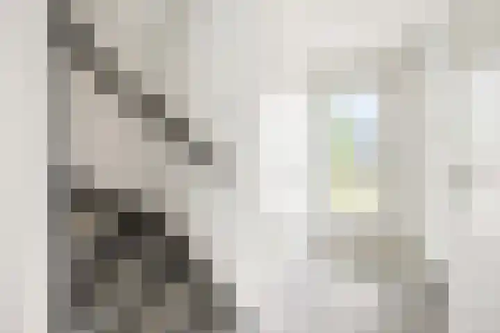 Rubinsteinpad 1 Almere thumbnail 5