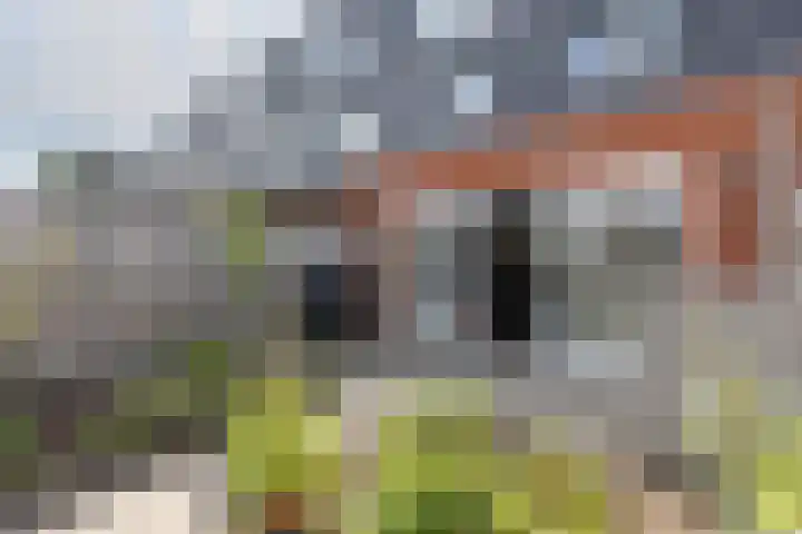 Rubrum 9 Akersloot thumbnail 31