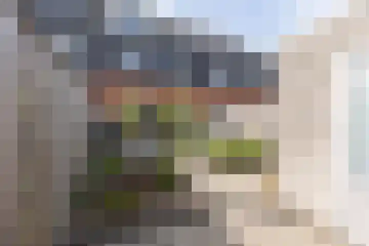 Rubrum 9 Akersloot thumbnail 32