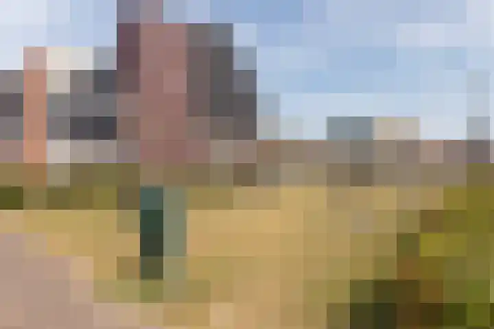 Rubrum 9 Akersloot thumbnail 35