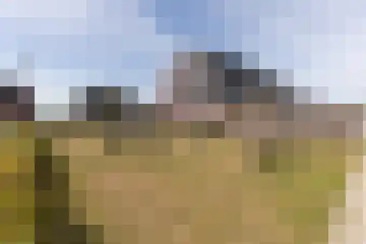 Rubrum 9 Akersloot thumbnail 36