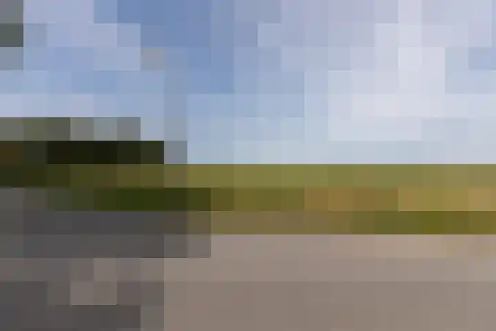 Rubrum 9 Akersloot thumbnail 38