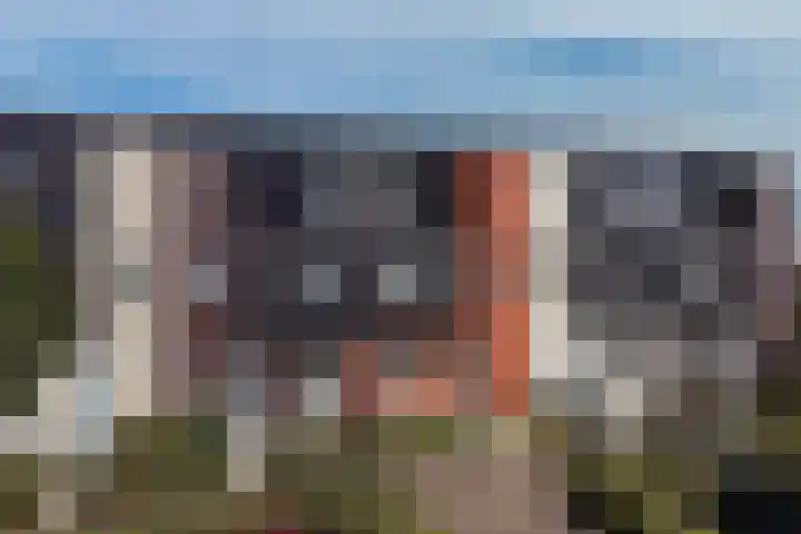 Rubrum 9 Akersloot thumbnail 40