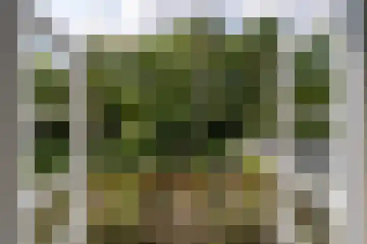 Rueterlaan 4 Laren thumbnail 23