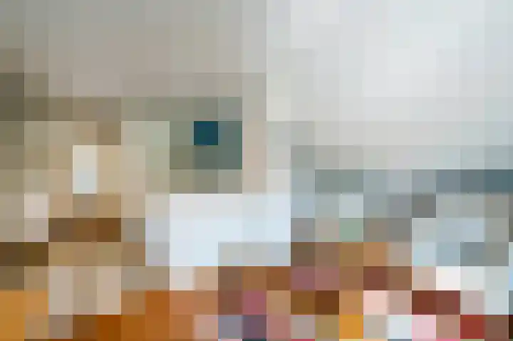 Rueterlaan 4 Laren thumbnail 30