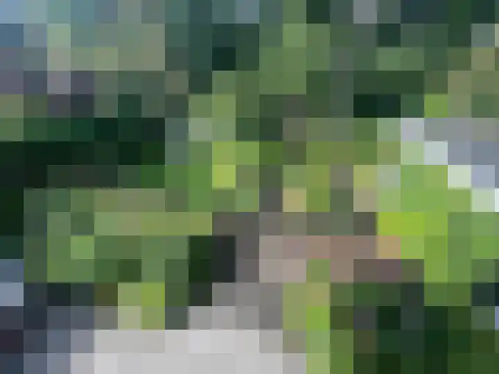 Rueterlaan 4 Laren thumbnail 52